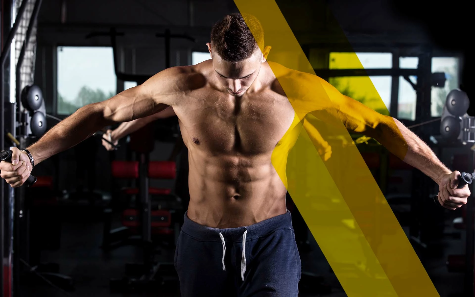 Logo & Brand Identity